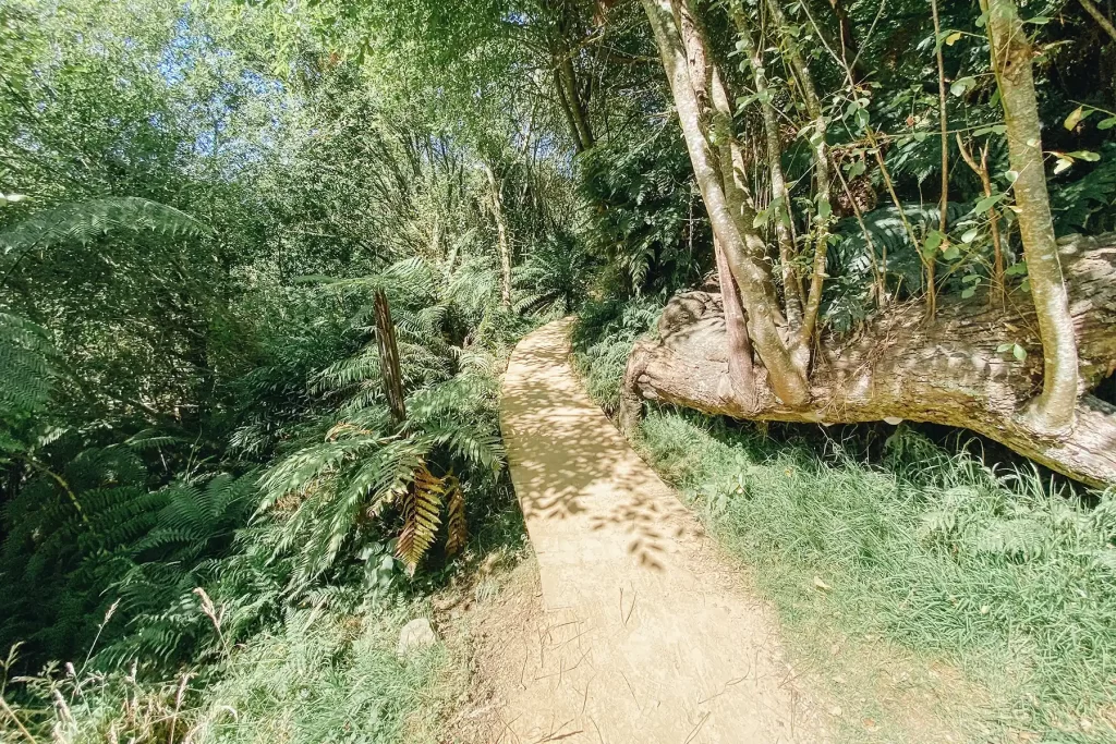 Hobbiton Movie Set pathway.