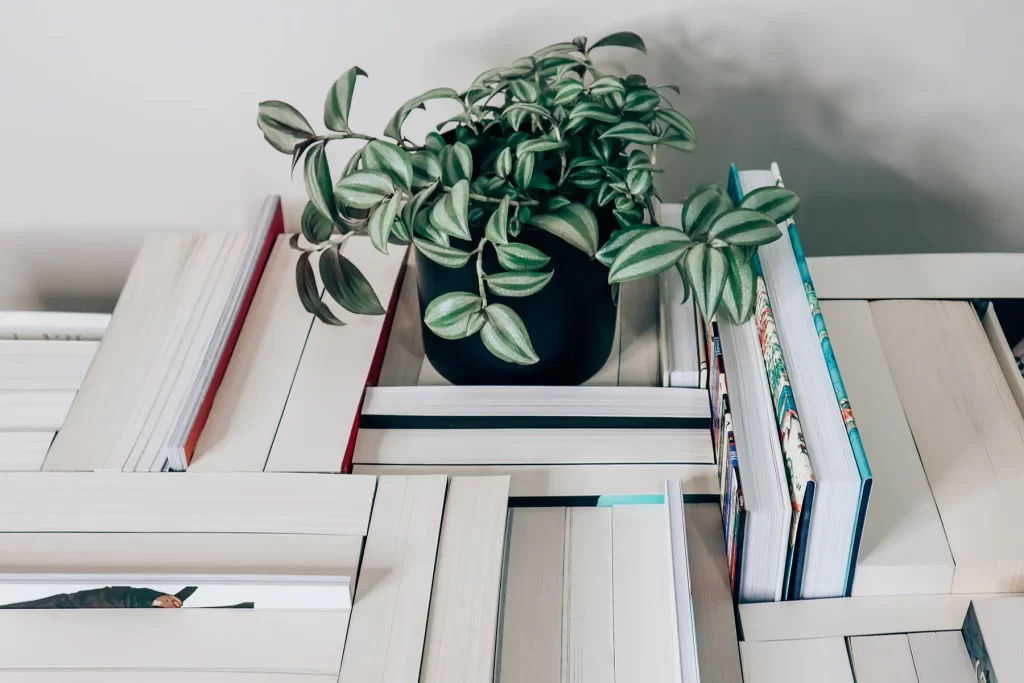 9 Ideas for Writing First Lines in Fiction.