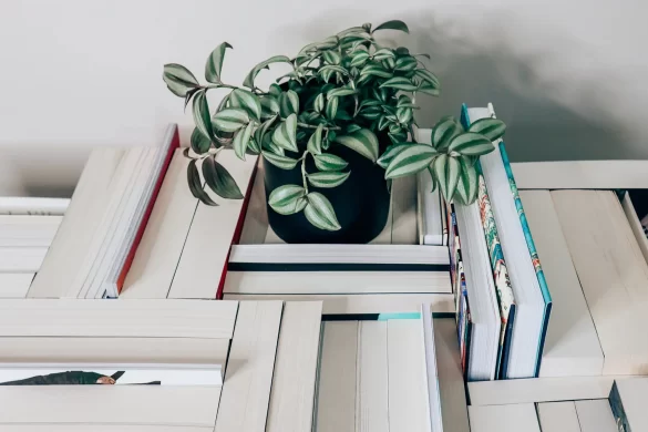 9 Ideas for Writing First Lines in Fiction.