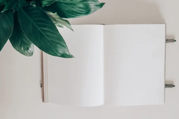 Going Back to University.