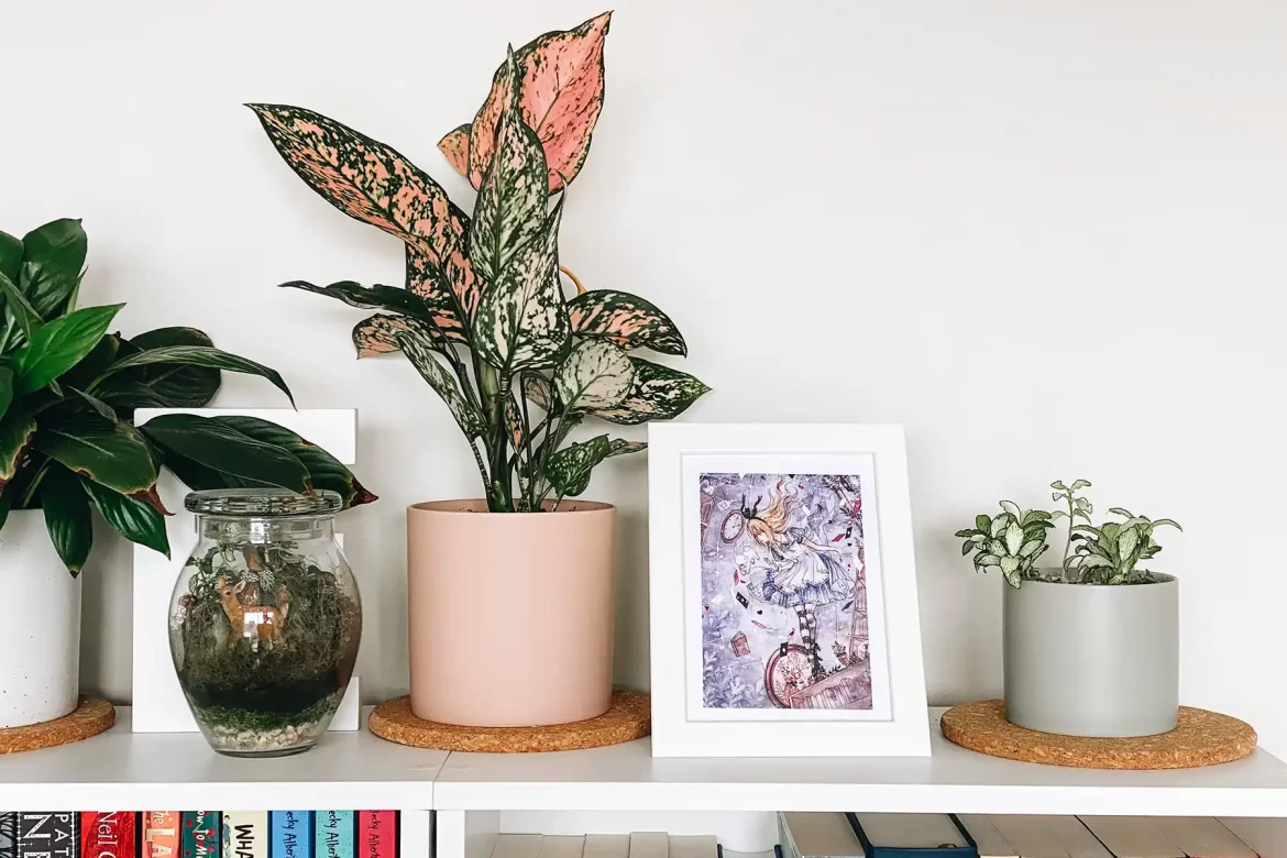 Trashy Reads: I've Been Looking Through the Trash.