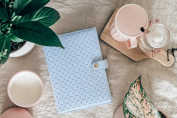 Flatlay of a blue journal, pot plant and pink mug.