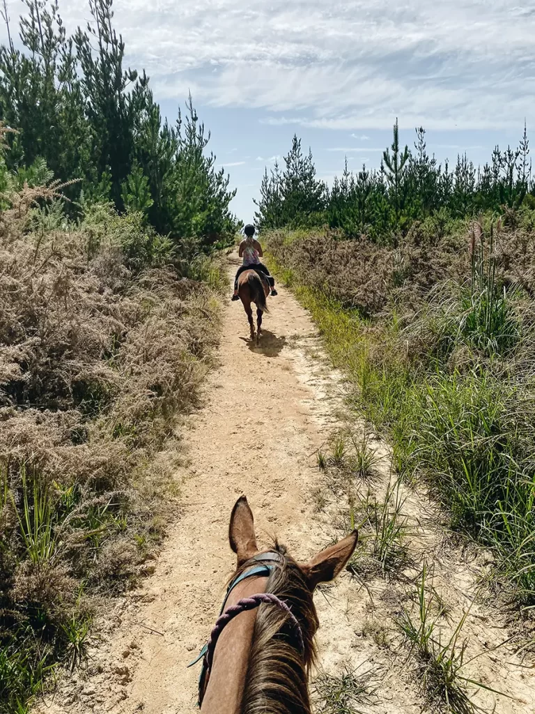 Horse riding trail.