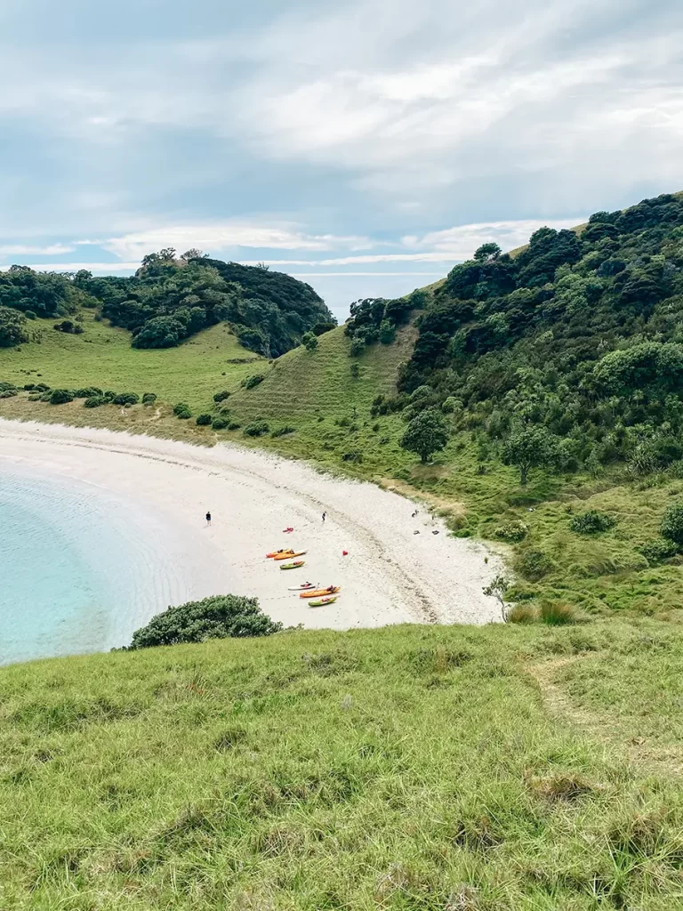 Beach at Bay of Islands.