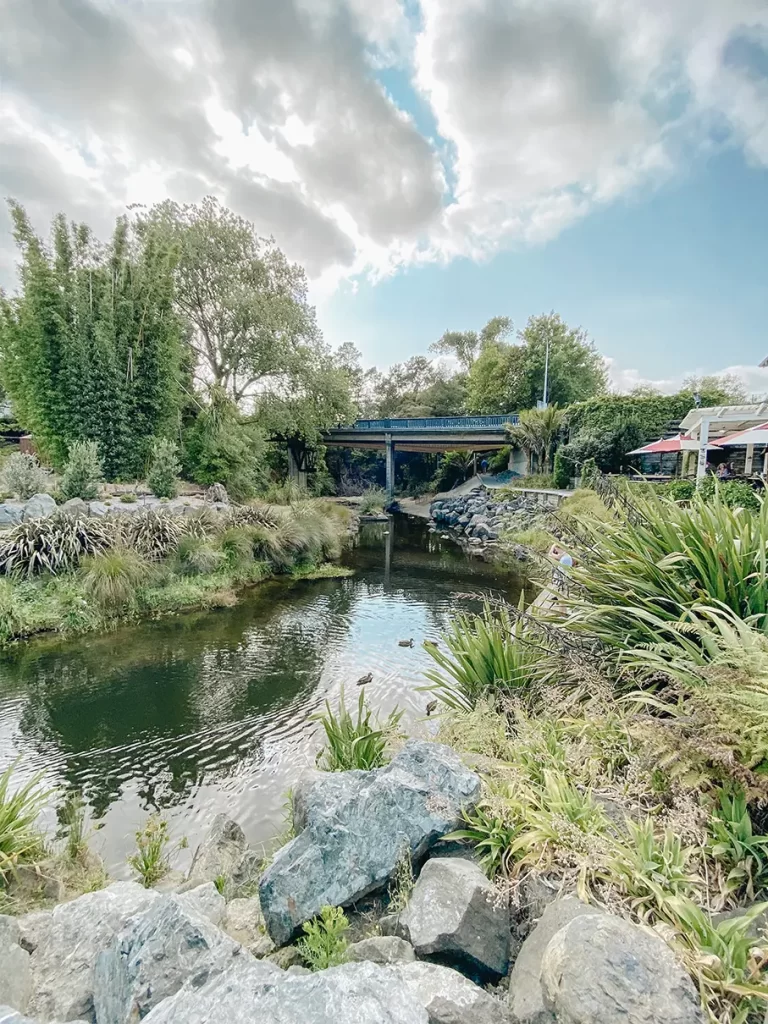River with ducks and bridge.