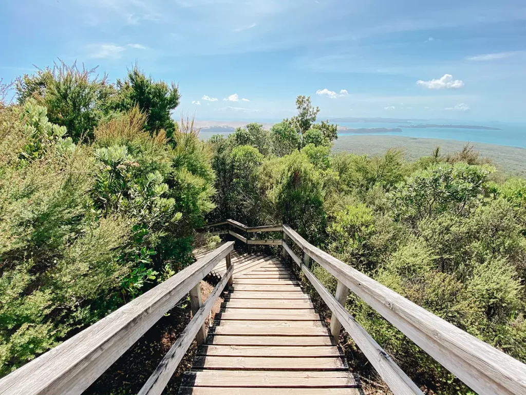 Rangitoto Island walking trail.